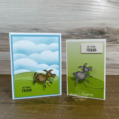 Darling Donkey Greeting Cards That Will Rock Your World