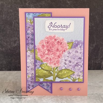 DIY Beautiful Cards with Many Messages All in One Quick Session